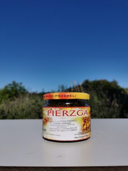 Pierzga